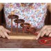 Orbits Wooden Disentanglement Puzzle for Adults from SiamMandalay with SM Gift BoxPictured B004IXHGO8
